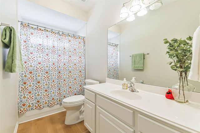 9906 Palisade Lakes Drive, Houston, TX 77095