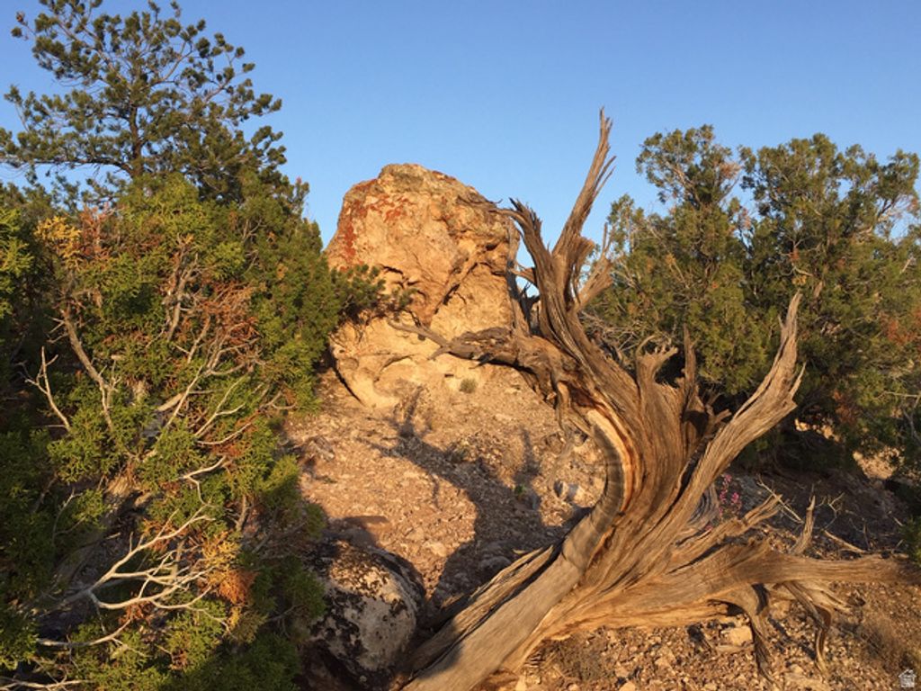 Image 2 of property listing at 27 W Kane Canyon Dr Unit 20, Moab, UT 84532