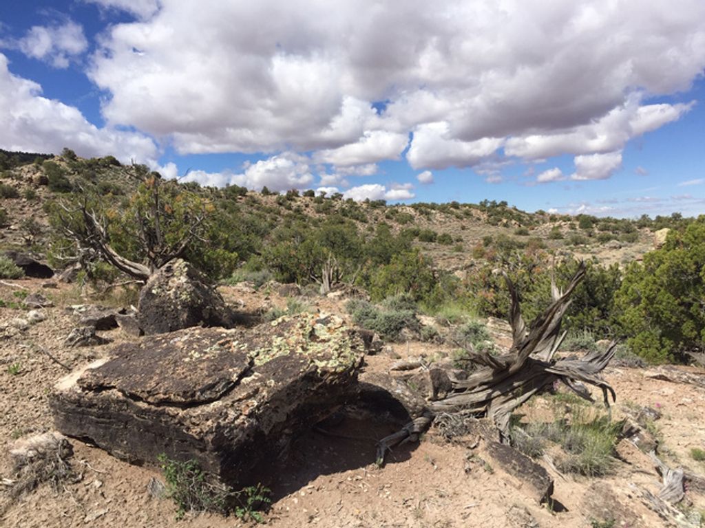 Image 11 of property listing at 27 W Kane Canyon Dr Unit 20, Moab, UT 84532