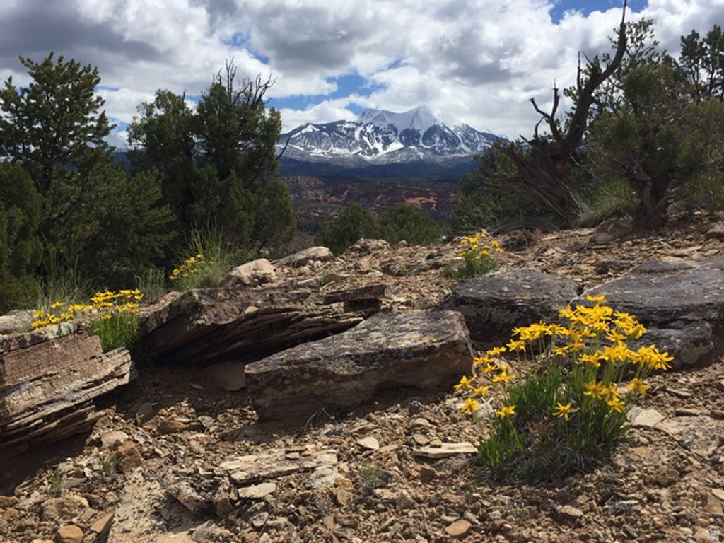 Image 13 of property listing at 27 W Kane Canyon Dr Unit 20, Moab, UT 84532
