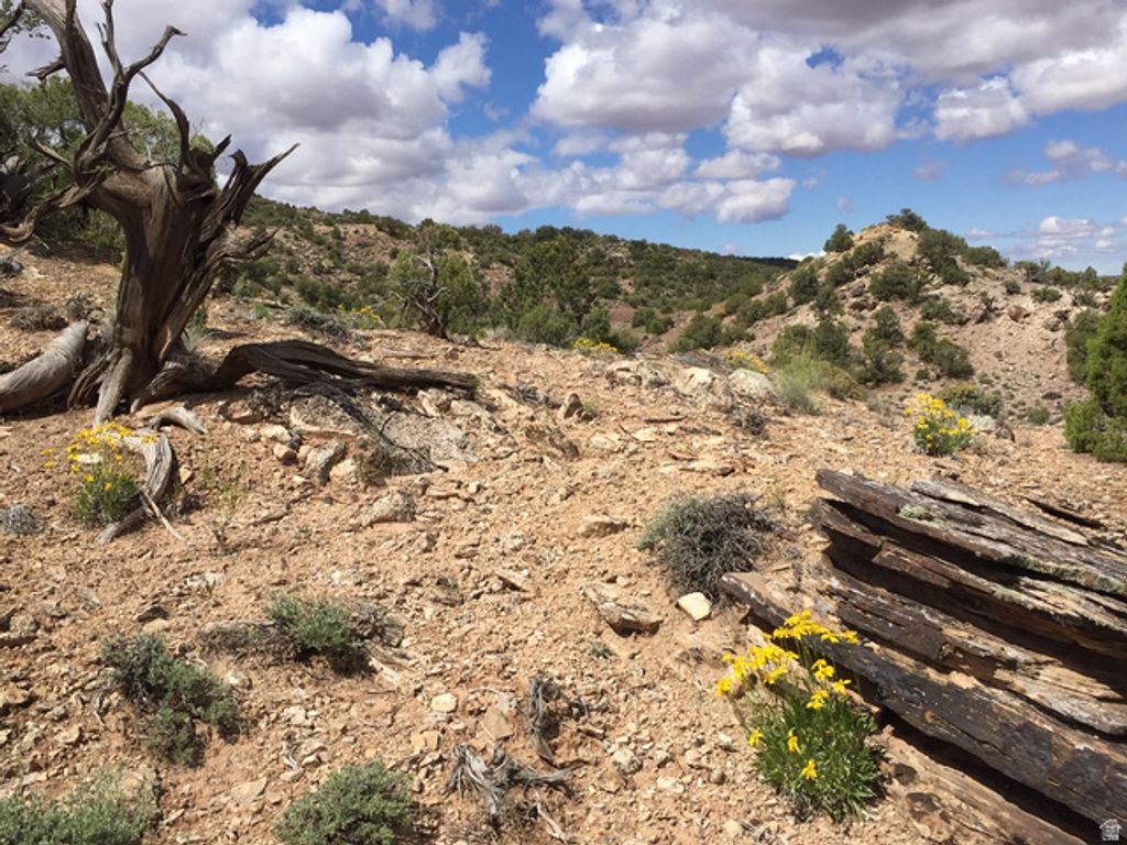 Image 5 of property listing at 27 W Kane Canyon Dr Unit 20, Moab, UT 84532