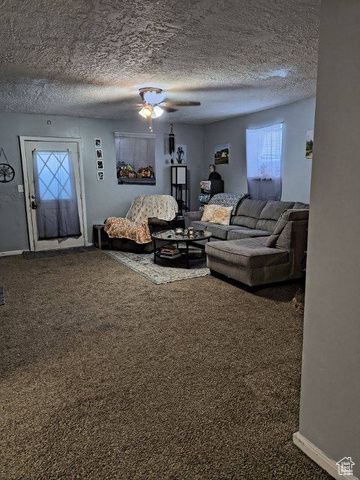 50 W 100 N, Salina, UT 84654