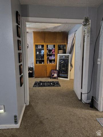 50 W 100 N, Salina, UT 84654