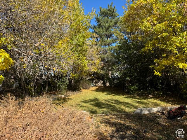 50 W 100 N, Salina, UT 84654