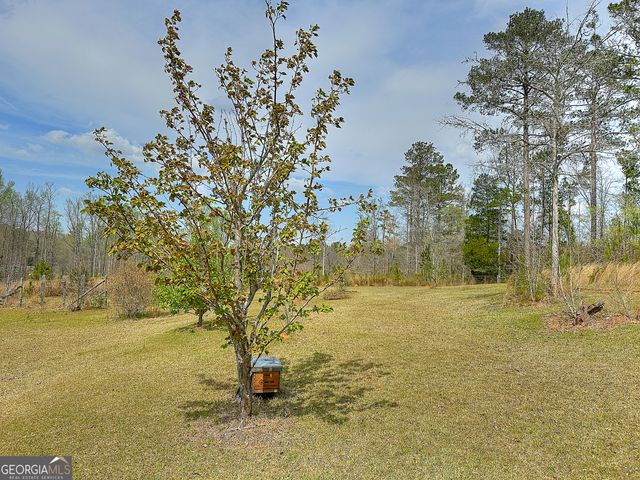 4642 New Franklin Road, Hogansville, GA 30230