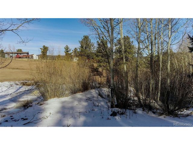 637 Rock Rd, Bailey, CO 80421