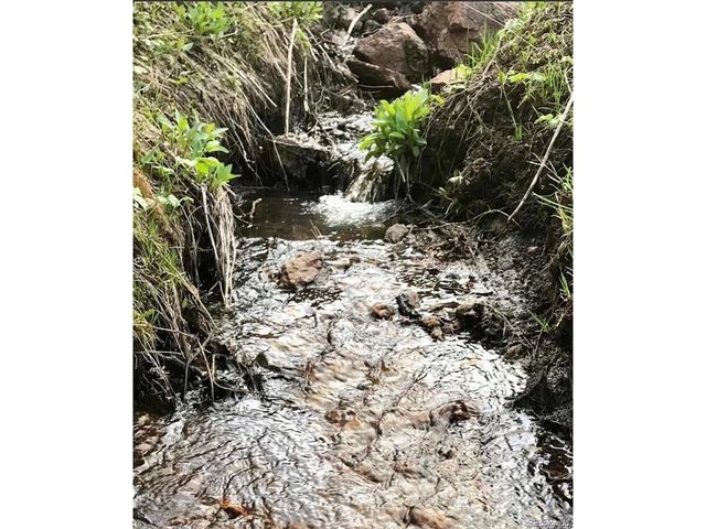 637 Rock Rd, Bailey, CO 80421