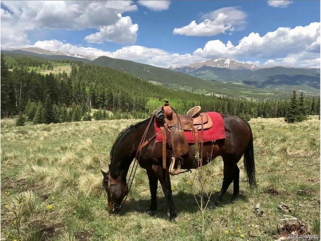 637 Rock Rd, Bailey, CO 80421