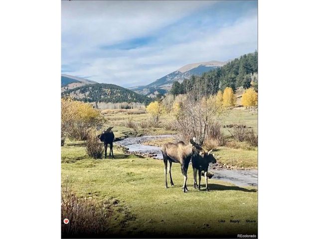 637 Rock Rd, Bailey, CO 80421