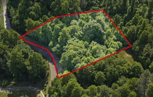 Lot 26 Laurel Highlands Road Lot 26, Roan Mountain, TN 37687