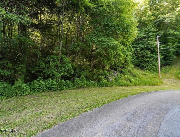 Lot 26 Laurel Highlands Road Lot 26, Roan Mountain, TN 37687