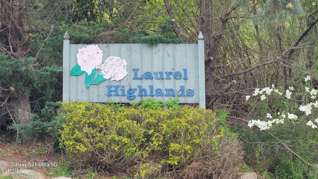 Lot 26 Laurel Highlands Road Lot 26, Roan Mountain, TN 37687