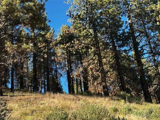 1 Conway Dr Drive, Running Springs, CA 92382