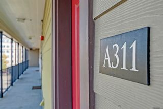 3347 Nicholson Dr #A311, Baton Rouge, LA 70802