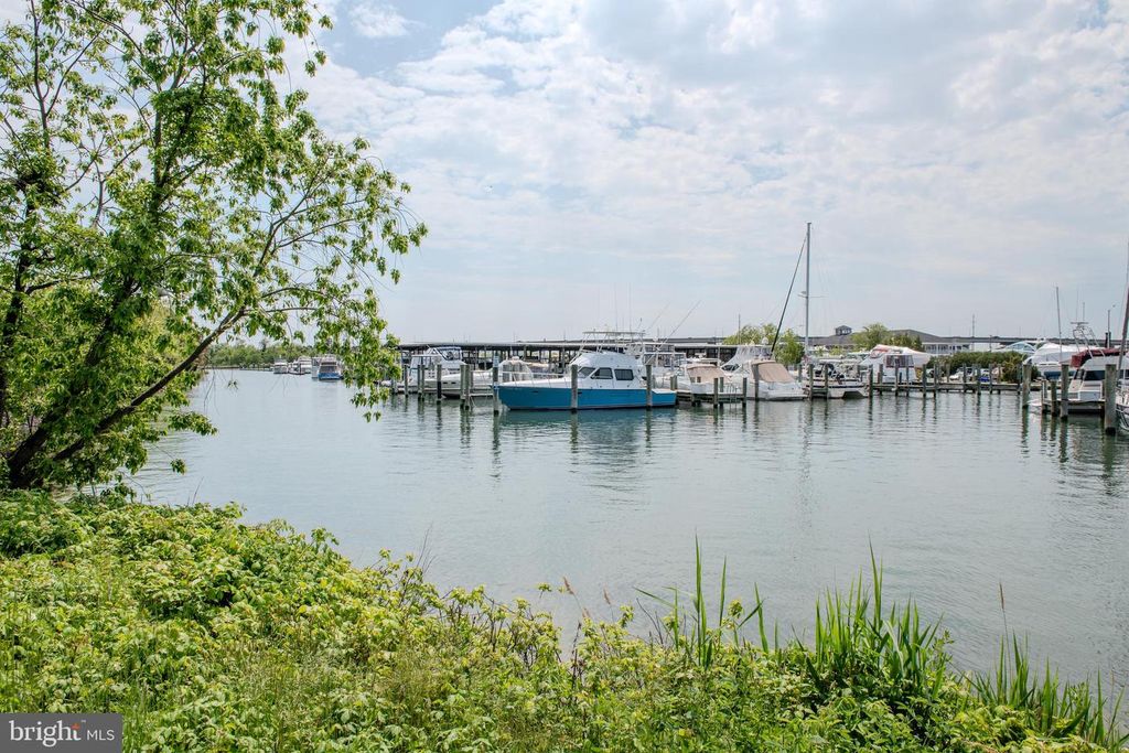 Image 77 of property listing at 430 NARROWS POINTE DR, Grasonville, MD 21638