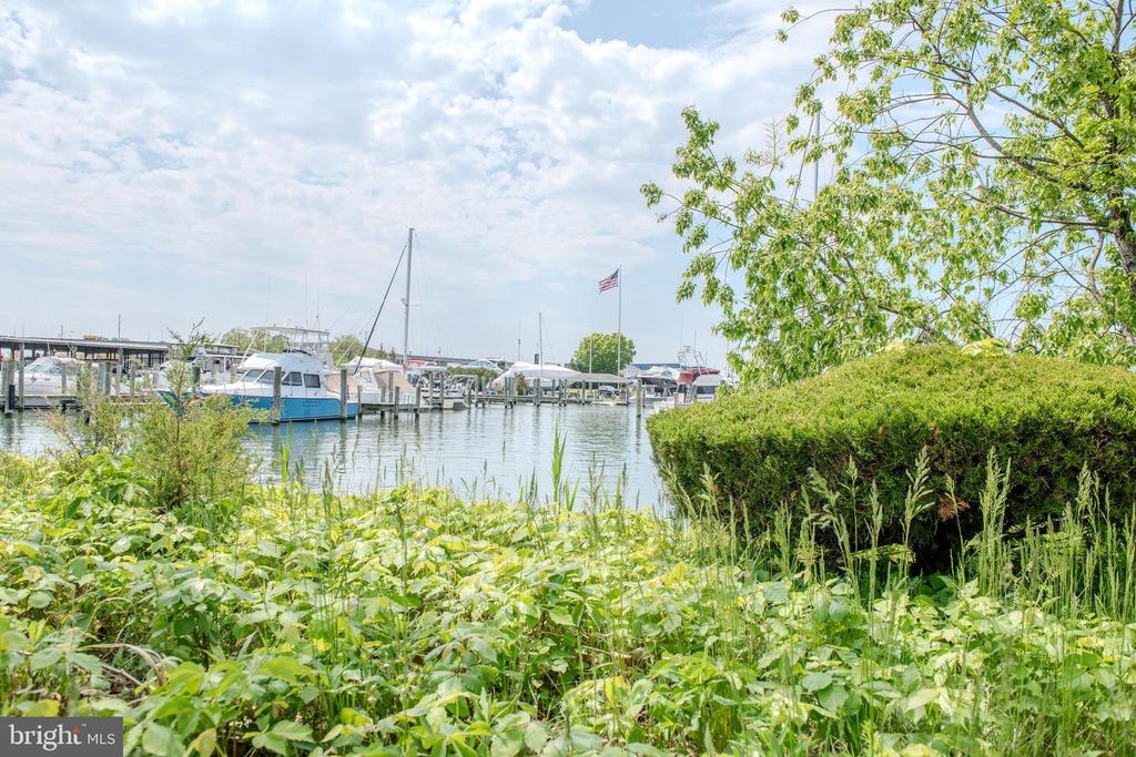 Image 79 of property listing at 430 NARROWS POINTE DR, Grasonville, MD 21638