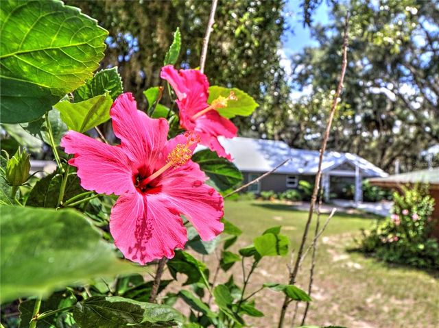 14271 NE 47TH AVENUE, Anthony, FL 32617