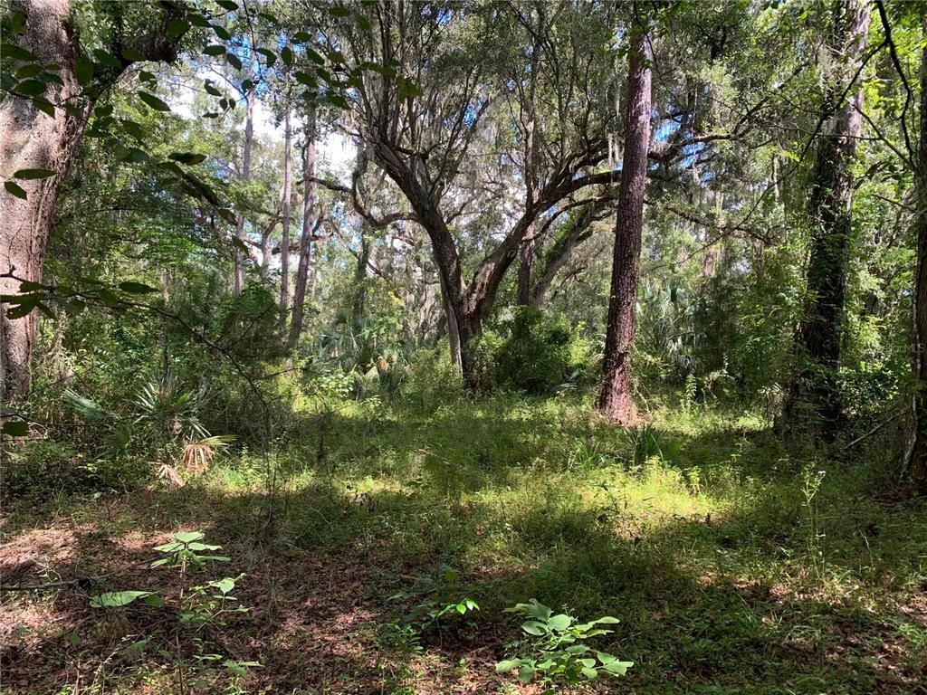 0 CORTEZ BOULEVARD, Brooksville, FL 34601