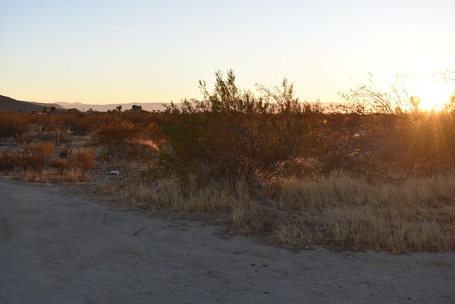 60th St West And Backus Rd, Rosamond, CA 93560