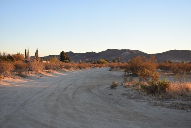 60th St West And Backus Rd, Rosamond, CA 93560