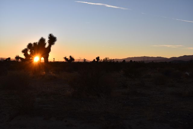 60th St West And Backus Rd, Rosamond, CA 93560