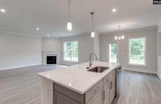 469 Mont Haven Place, Lexington, SC 29072