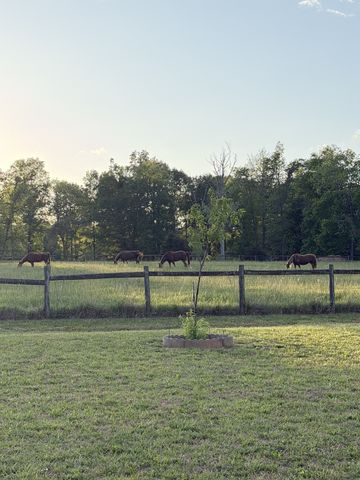 204 Rose Ln, Shelbyville, TN 37160