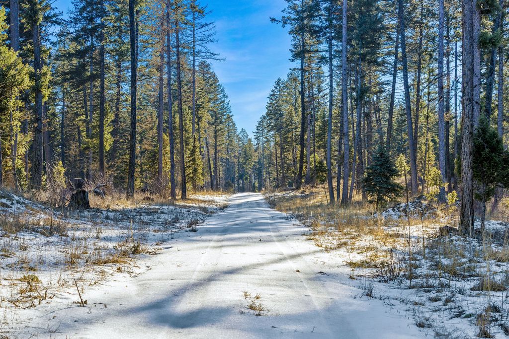 Nhn N Dayton Creek Road, Proctor, MT 59929 photo 10