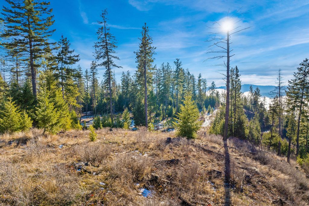 Nhn N Dayton Creek Road, Proctor, MT 59929 photo 13