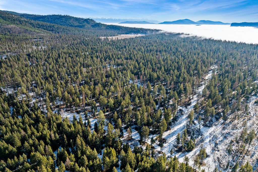 Nhn N Dayton Creek Road, Proctor, MT 59929 photo 16