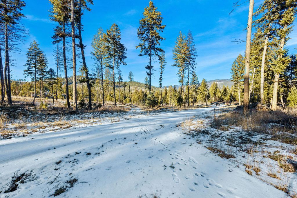 Nhn N Dayton Creek Road, Proctor, MT 59929 photo 7