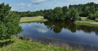 155 ac Fm-1374, Huntsville, TX 77340