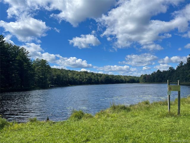 14 Willow Lane, Monticello, NY 12701