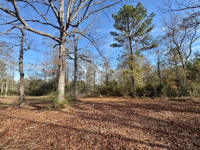 473 Firelane S, Livingston, TX 77351