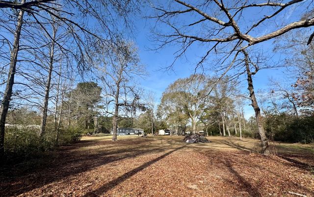 473 Firelane S, Livingston, TX 77351