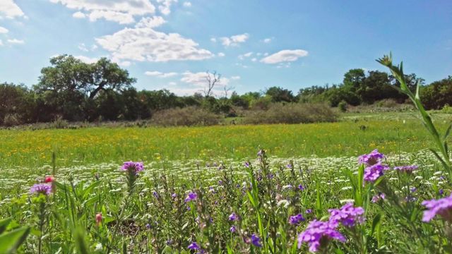 Lot 8 Legacy Ridge, Burnet, TX 78611