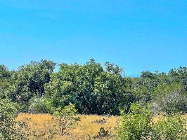 Lot 8 Legacy Ridge, Burnet, TX 78611
