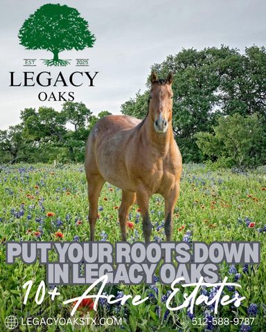 Lot 8 Legacy Ridge, Burnet, TX 78611