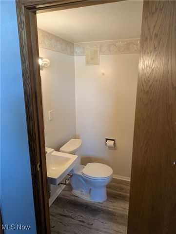 3258 Van Buren Drive, Brunswick, OH 44212