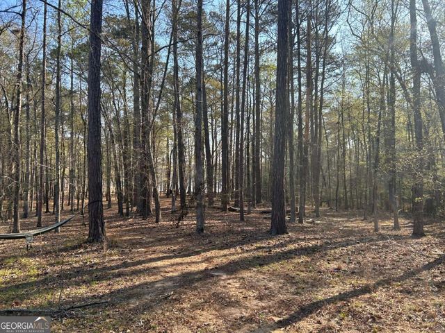 1697 Broad River Scenic Drive, Tignall, GA 30668