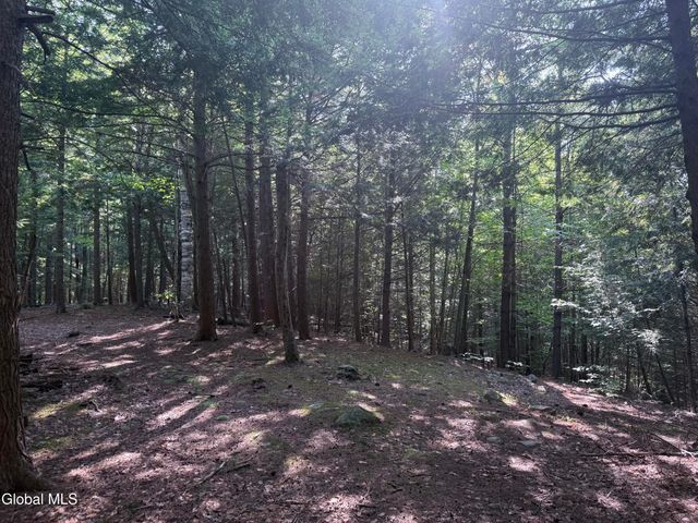 375 Ormsbee Road, Greenfield, NY 12859