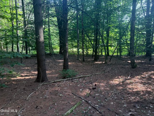 375 Ormsbee Road, Greenfield, NY 12859