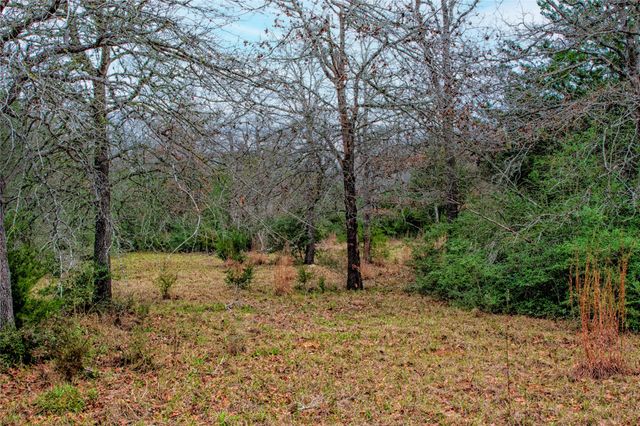 5100 Wood Duck Drive, Waelder, TX 78959