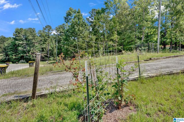 855 CHERRYWOOD COURT, Odenville, AL 35120