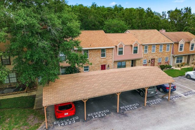 14219 WELLESLEY DRIVE, Tampa, FL 33624