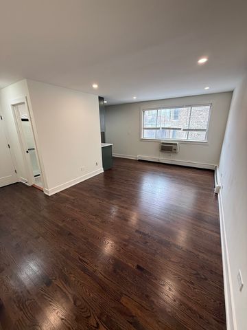 541 W OAKDALE Avenue 513, Chicago, IL 60613