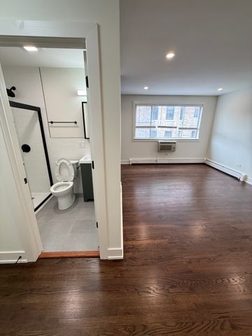 541 W OAKDALE Avenue 513, Chicago, IL 60613