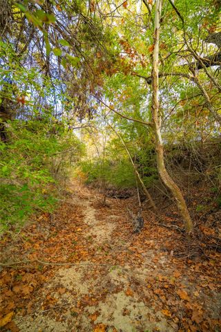 518 Curly H Ranch RD, Dripping Springs, TX 78620