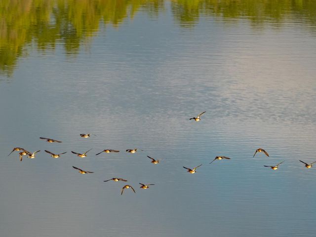 518 Curly H Ranch RD, Dripping Springs, TX 78620