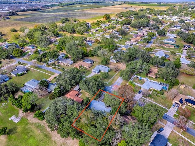 12534 WEDGEFIELD DRIVE, Grand Island, FL 32735